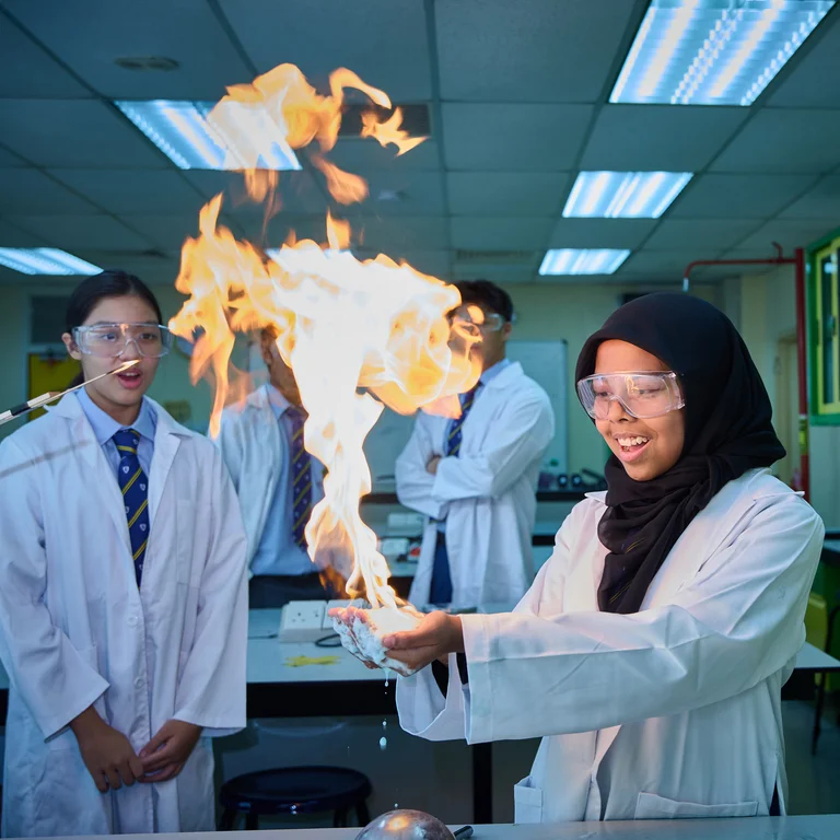 Dual curricula